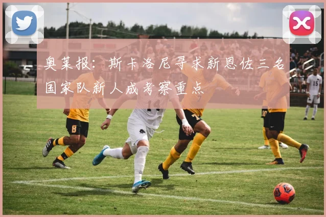 奥莱报：斯卡洛尼寻求新恩佐三名国家队新人成考察重点