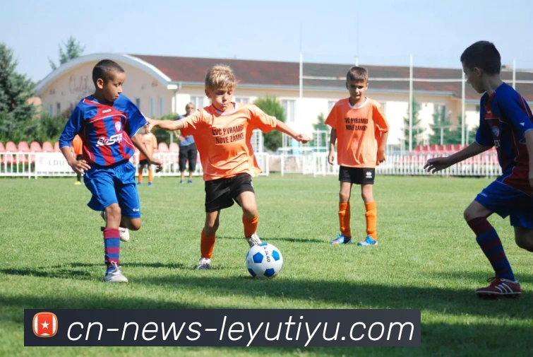 乐鱼体育平台生态图