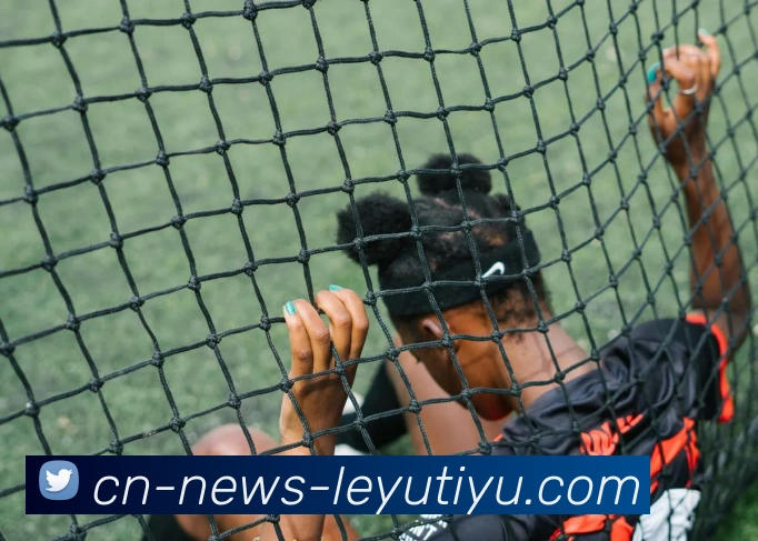 乐鱼体育APP 封面图